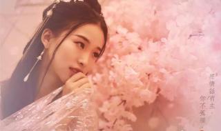 一台古筝多少钱 一台古筝多少钱