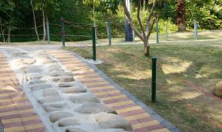 深圳羊台山攻略 深圳羊台山攻略