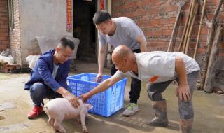 献给你的罗曼蒂克 献给你的罗曼蒂克