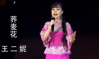 王二妮的歌 王二妮的歌