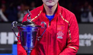 樊振东世界杯冠军几次 樊振东世界杯冠军几次